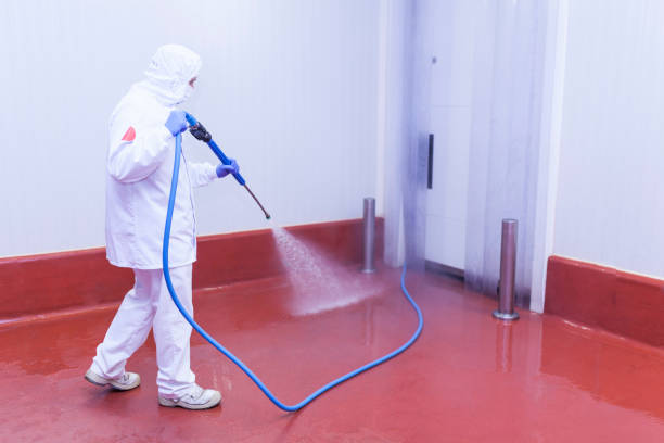 Best Patio and Deck Pressure Washing  in Enoch, UT